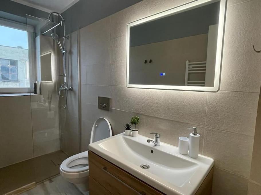 Premium In Apartment Onesti